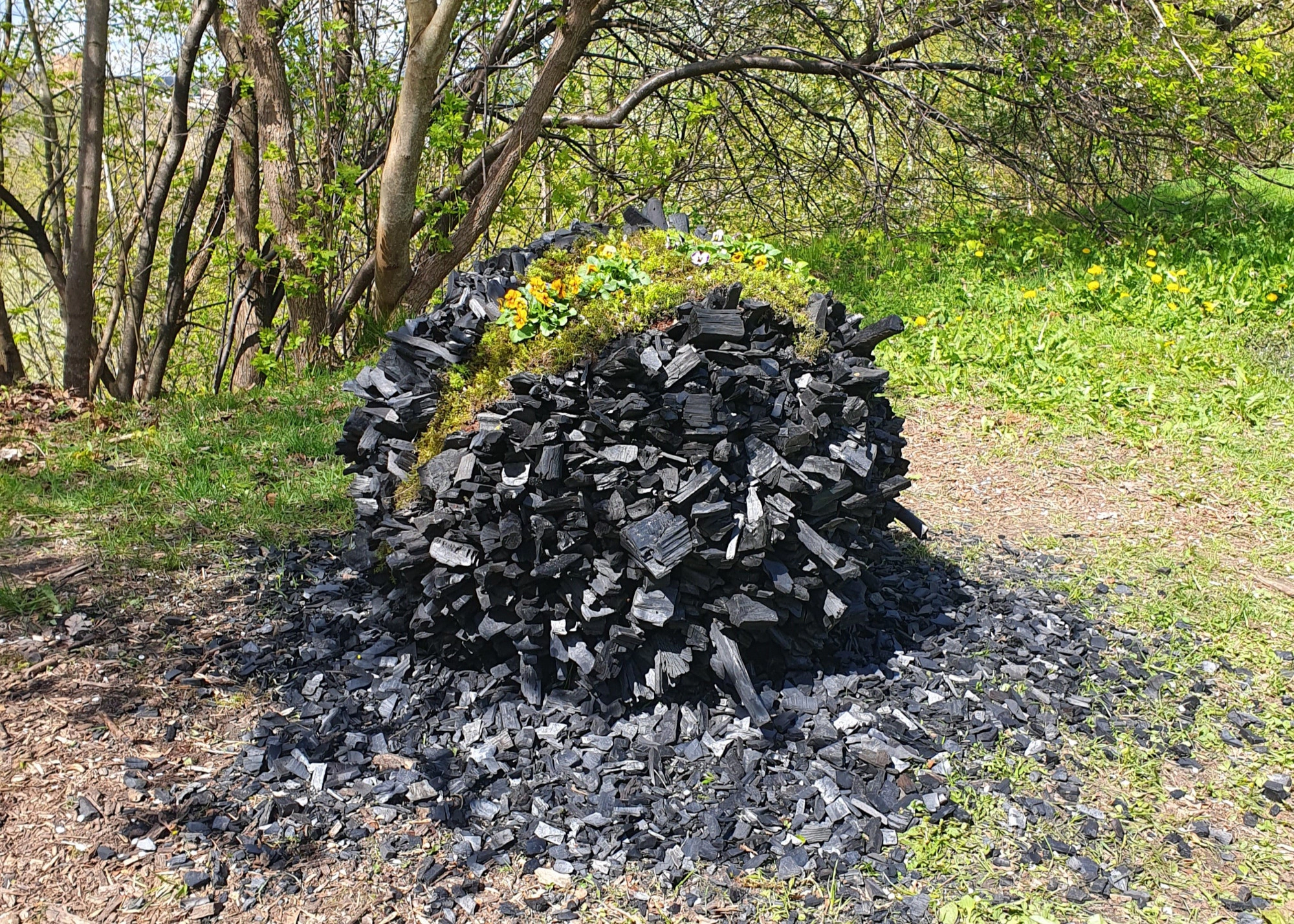 Environmental Object “Baltic Paganism”